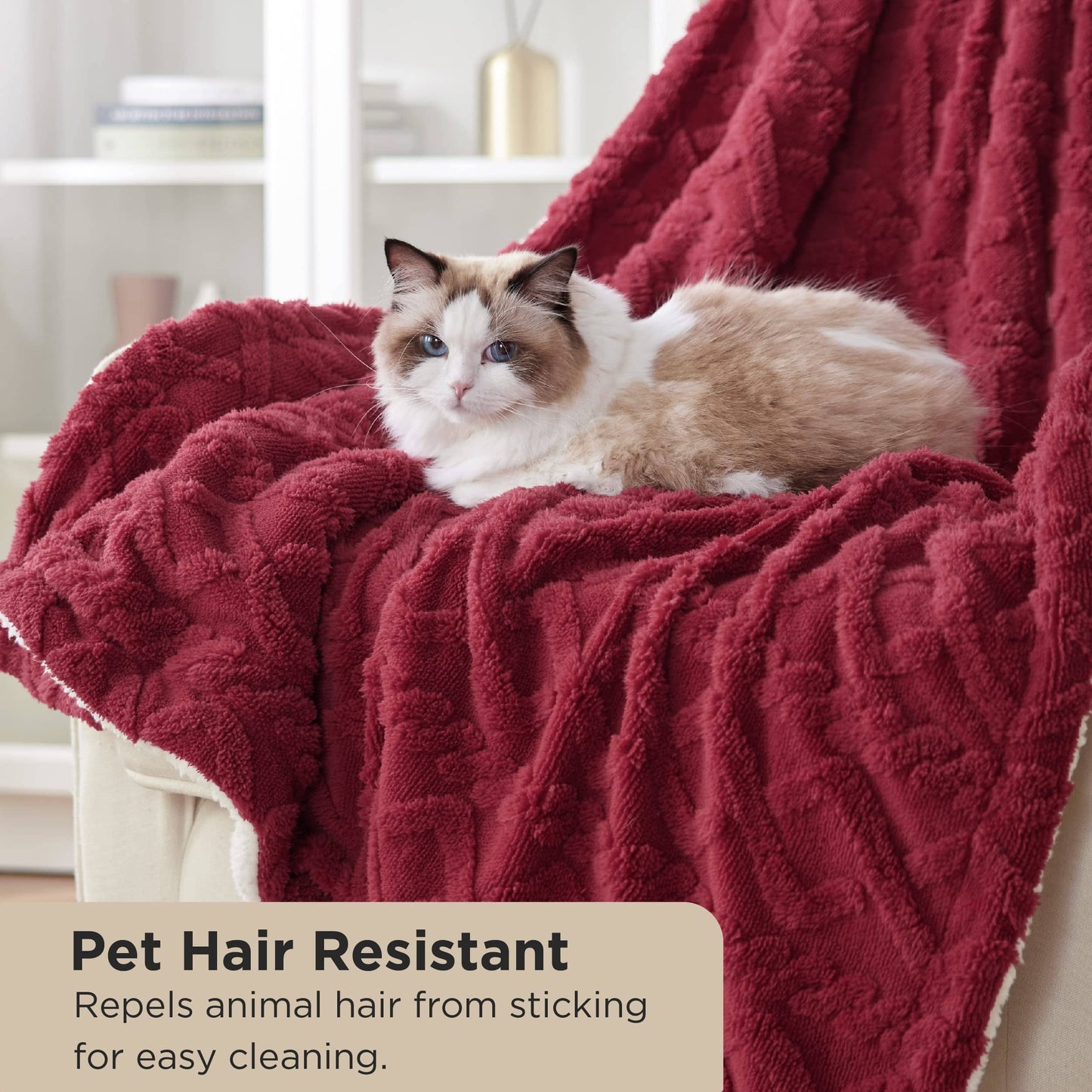 GentleSoft™ Sherpa Throw Blanket For Couch