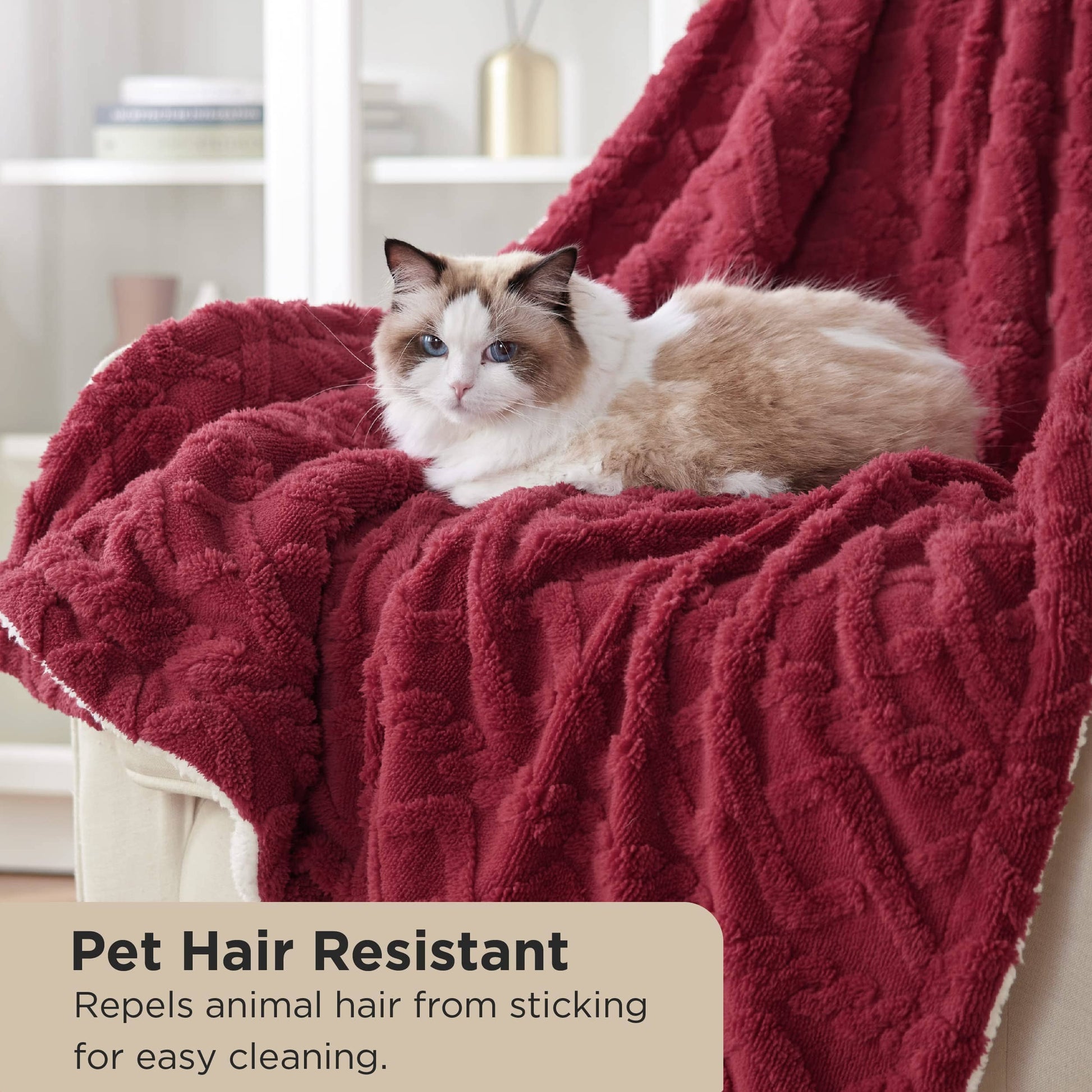 GentleSoft™ Sherpa Throw Blanket For Couch