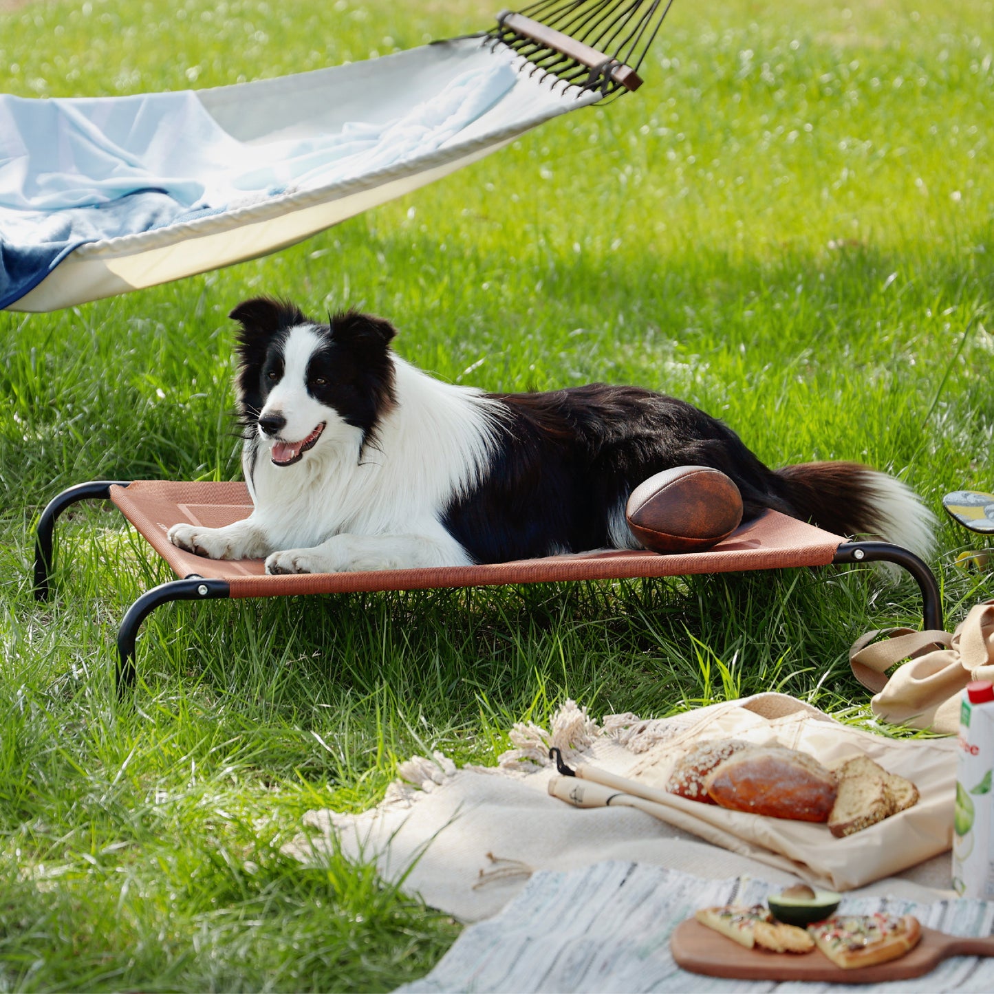 Elevated Dog Bed