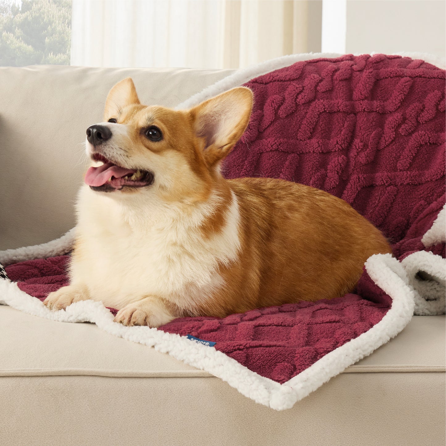 Waterproof Dog Blanket