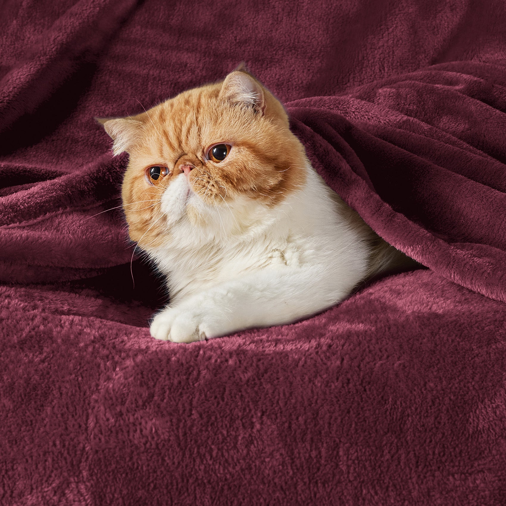 GentleSoft™ Flannel Fleece Blanket 280gsm