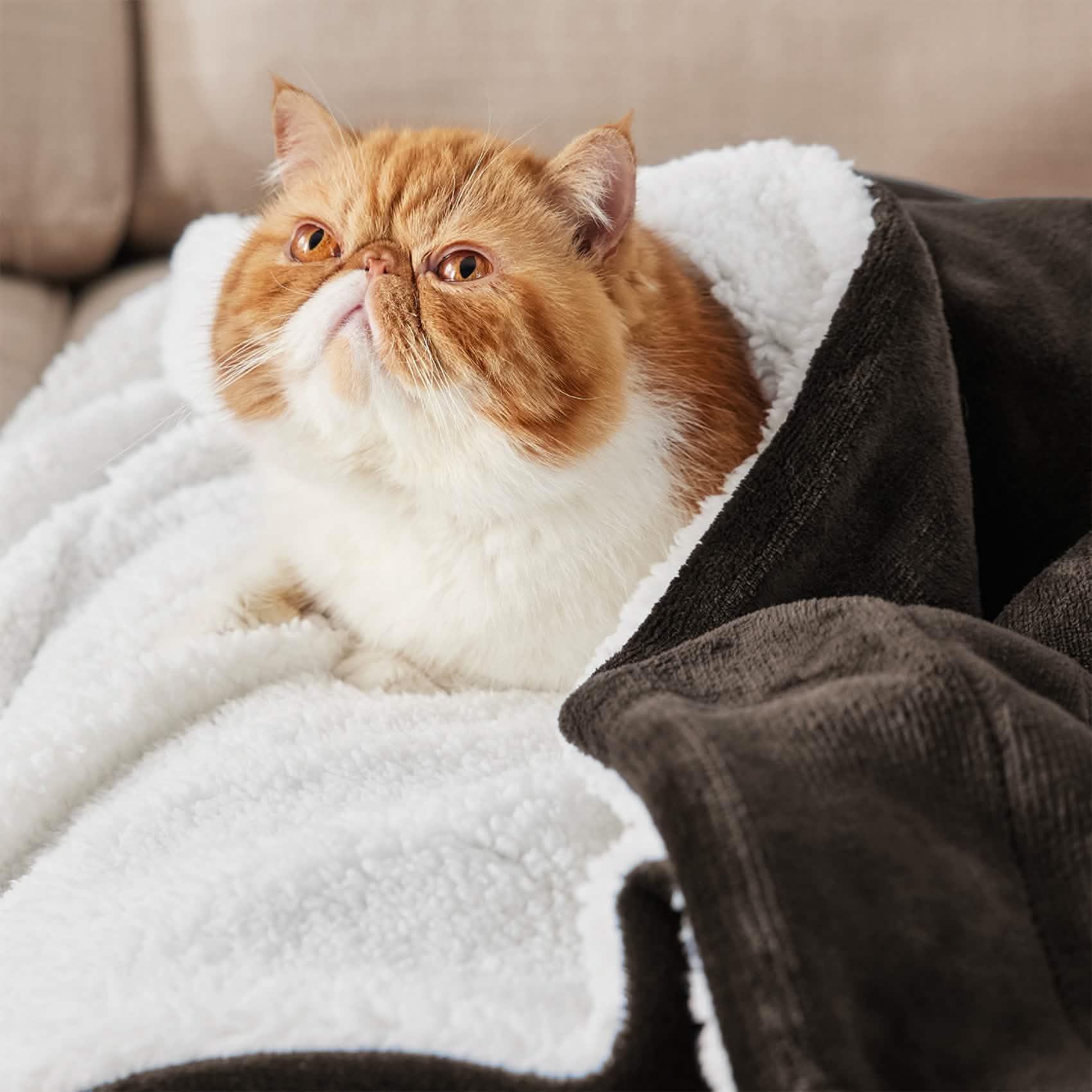 GentleSoft™ Sherpa Fleece Blanket