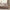 GentleSoft™ Ultra Soft Hypoallergenic Microfiber Duvet Cover Set