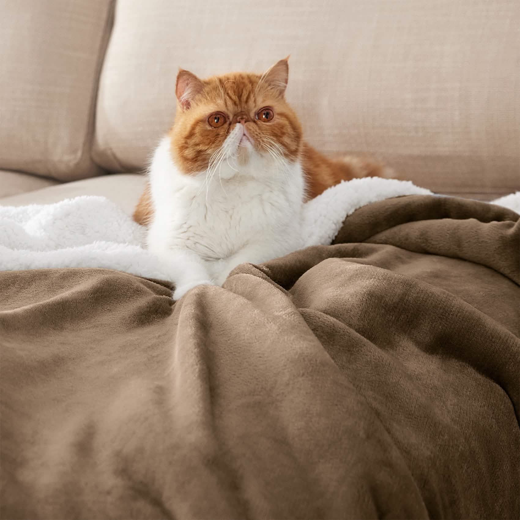 GentleSoft™ Sherpa Fleece Blanket