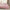 GentleSoft™ Ultra Soft Hypoallergenic Microfiber Duvet Cover Set