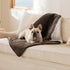 Reversible Sherpa and Microfiber Fleece Dog Blanket