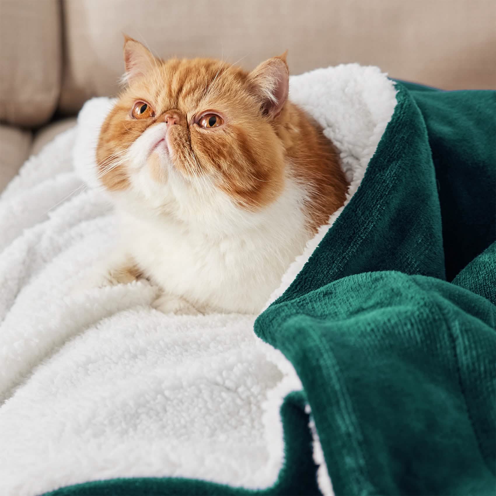 GentleSoft™ Sherpa Fleece Blanket