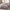 GentleSoft™ Ultra Soft Hypoallergenic Microfiber Duvet Cover Set
