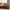 GentleSoft™ Ultra Soft Hypoallergenic Microfiber Duvet Cover Set