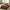 GentleSoft™ Ultra Soft Hypoallergenic Microfiber Duvet Cover Set