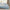 GentleSoft™ Ultra Soft Hypoallergenic Microfiber Duvet Cover Set