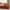 GentleSoft™ Ultra Soft Hypoallergenic Microfiber Duvet Cover Set