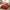 GentleSoft™ Ultra Soft Hypoallergenic Microfiber Duvet Cover Set