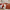GentleSoft™ Ultra Soft Hypoallergenic Microfiber Duvet Cover Set