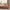 GentleSoft™ Ultra Soft Hypoallergenic Microfiber Duvet Cover Set