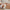 GentleSoft™ Ultra Soft Hypoallergenic Microfiber Duvet Cover Set
