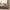 GentleSoft™ Ultra Soft Hypoallergenic Microfiber Duvet Cover Set