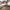 GentleSoft™ Ultra Soft Hypoallergenic Microfiber Duvet Cover Set