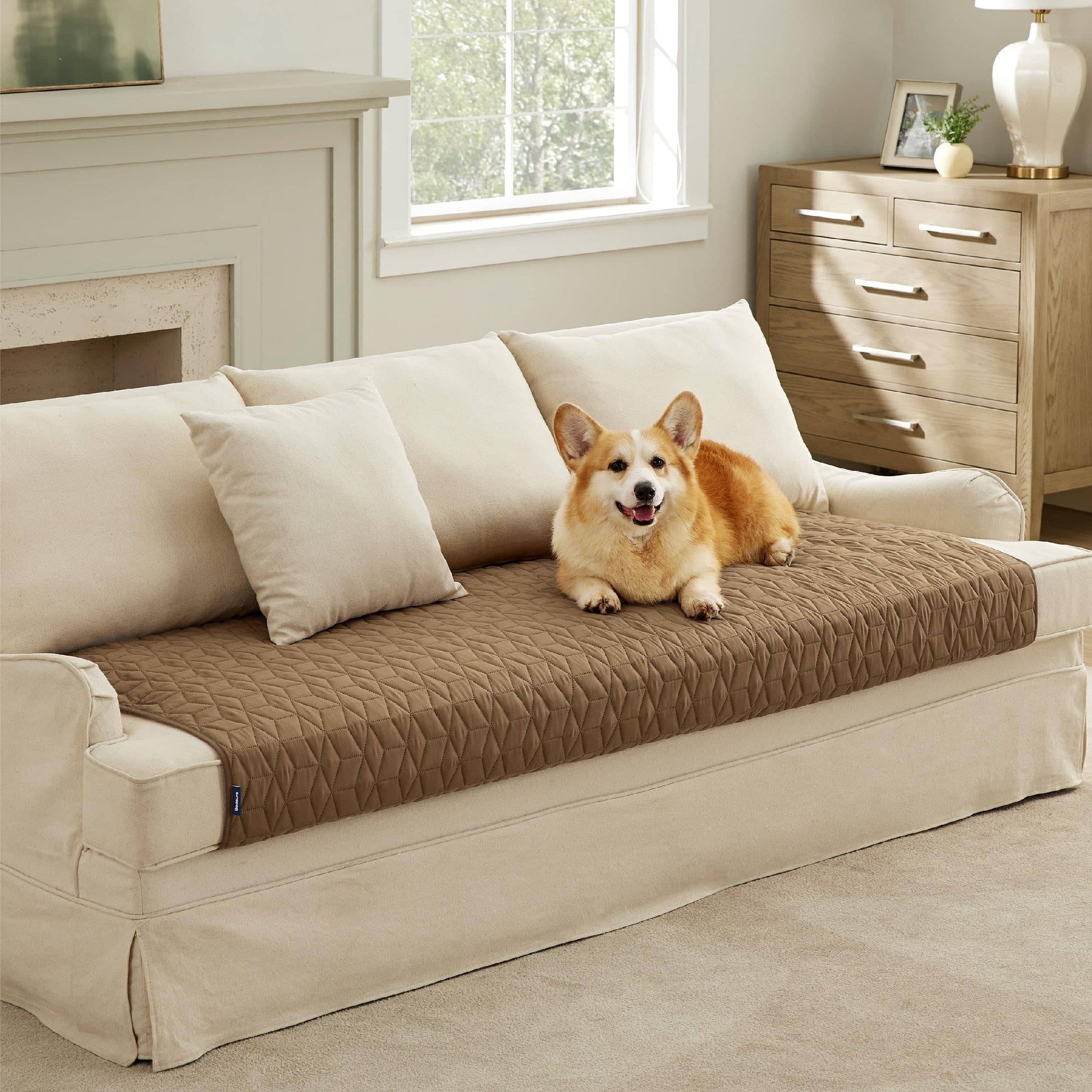 Pet Sofa Protector