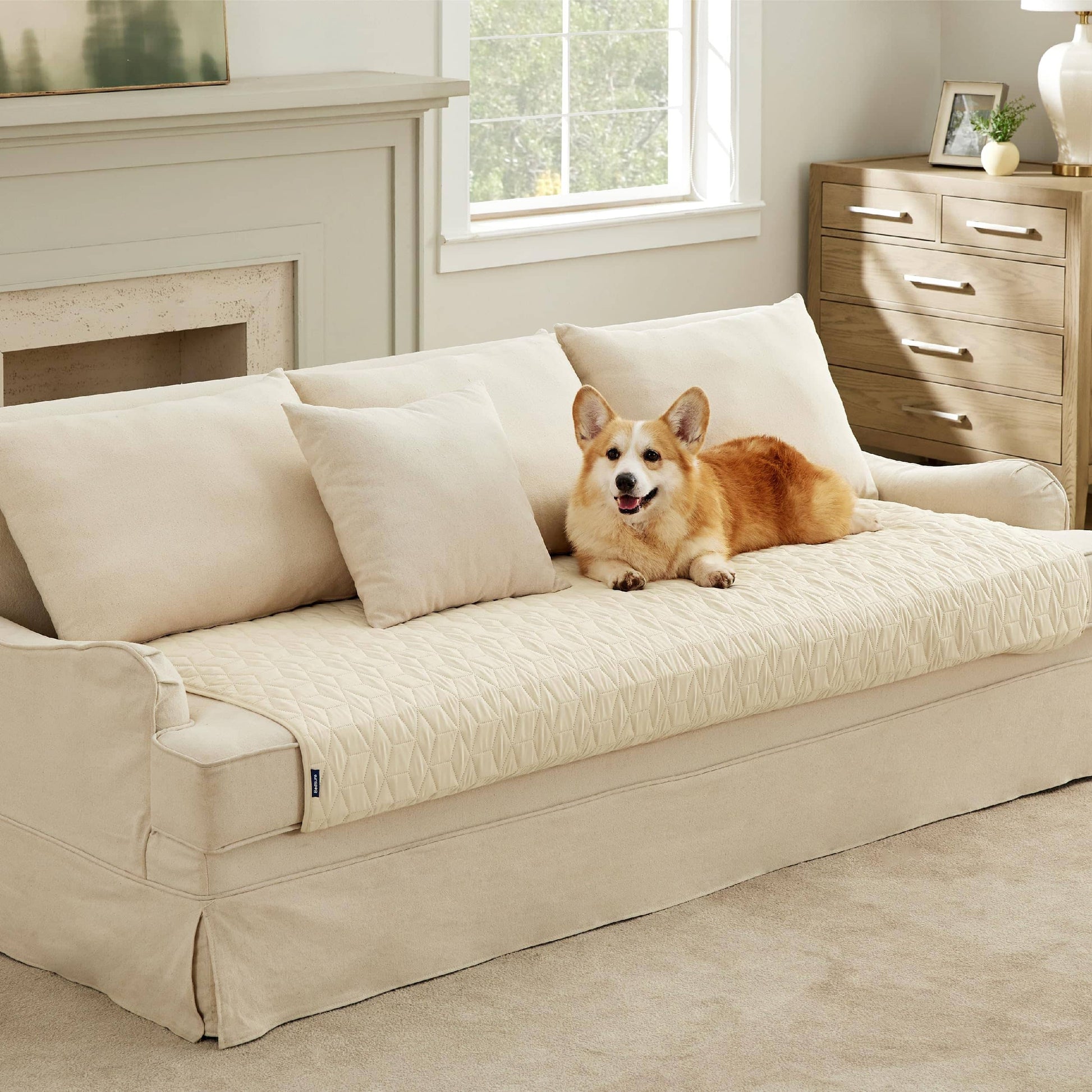 Pet Sofa Protector