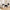 Orthopedic Memory Foam Dog Bed