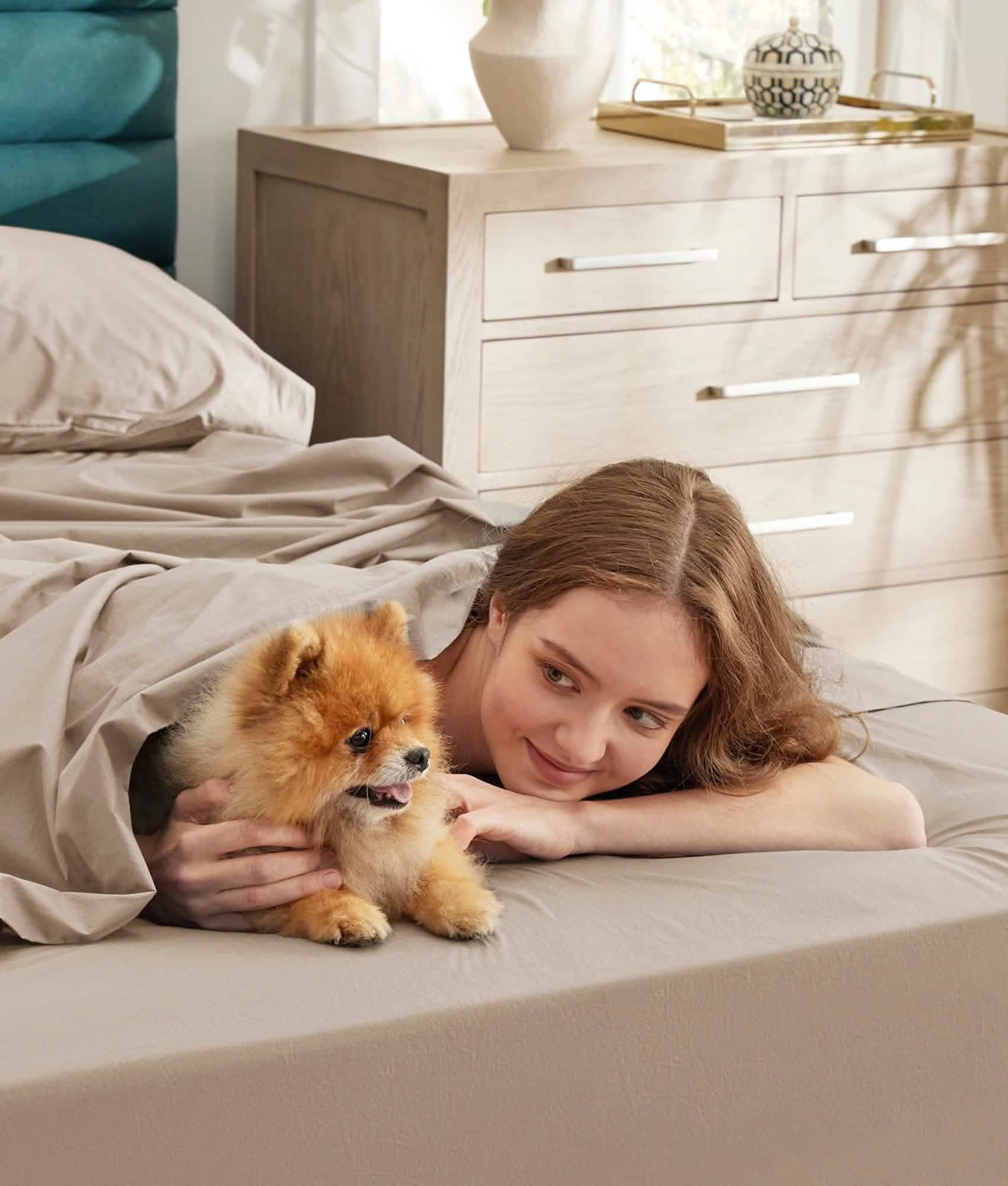 GentleSoft™ Cotton Percale Weave Sheet Set