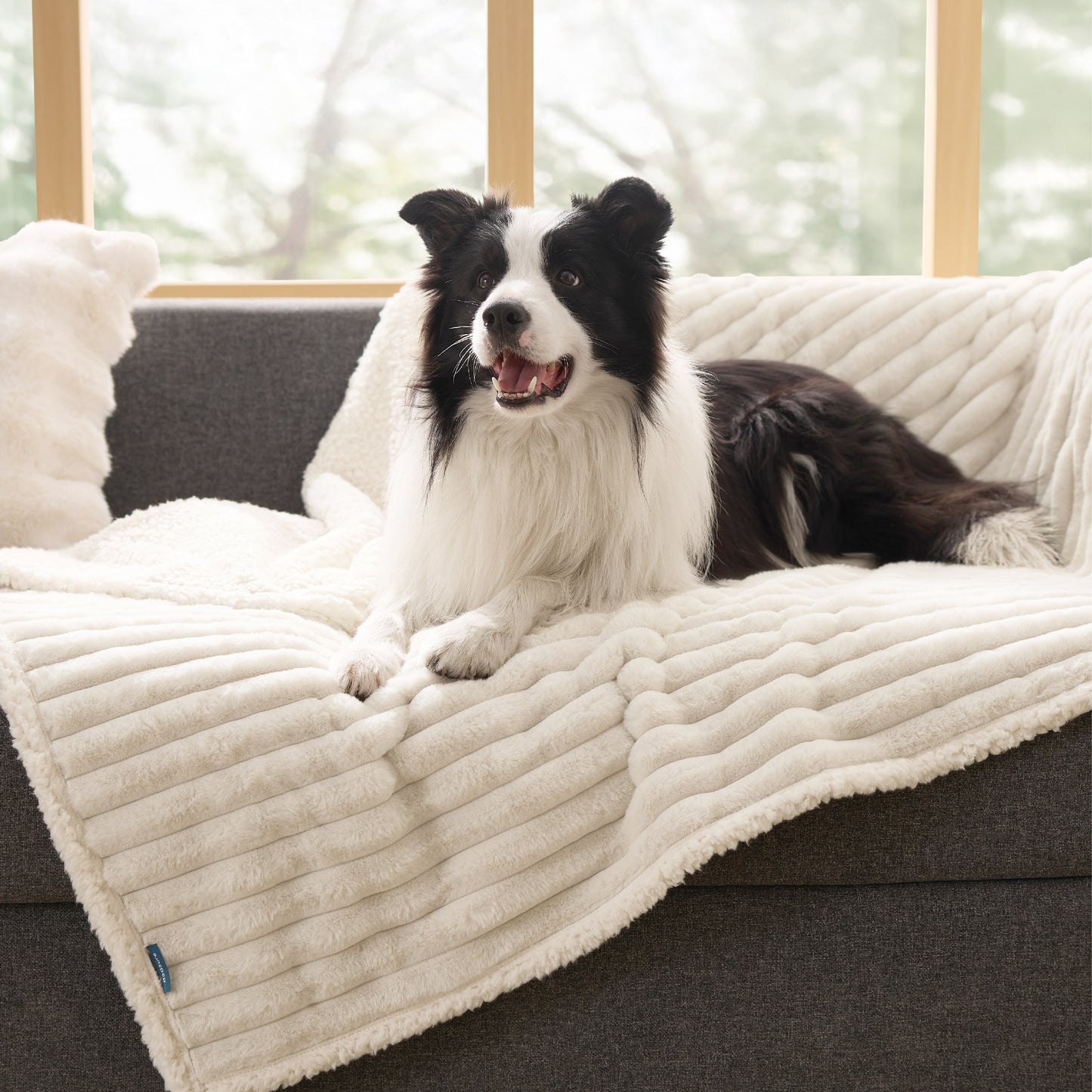 Corduroy Fleece Pet Blanket