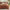 GentleSoft™ Cooling Waffle Duvet Cover Set