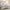 GentleSoft™ Cotton Muslin Duvet Cover Set