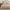 GentleSoft™ Cotton Boho Waffle Weave Duvet Cover Set