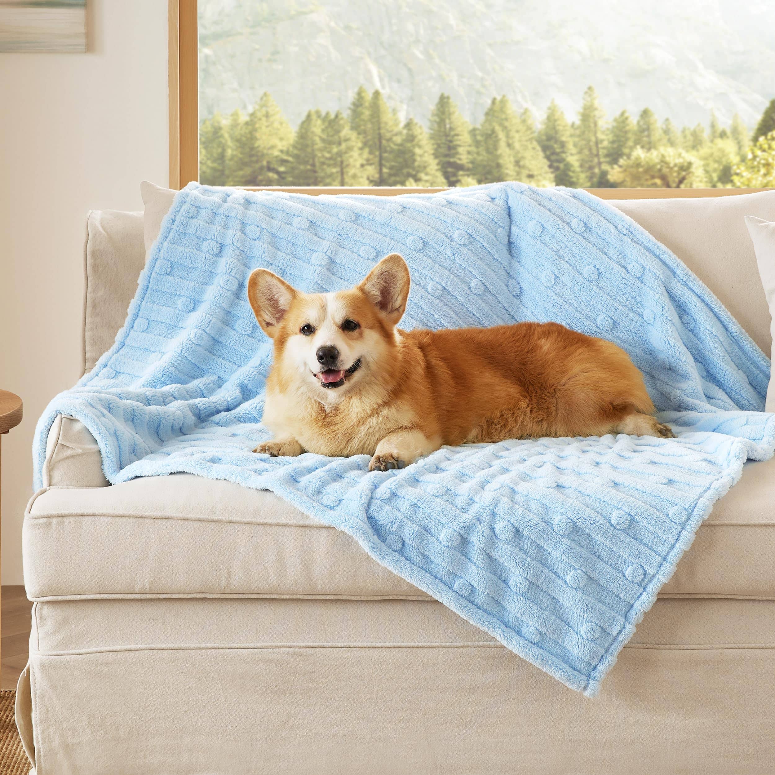 Jacquard Fleece Pet Blanket