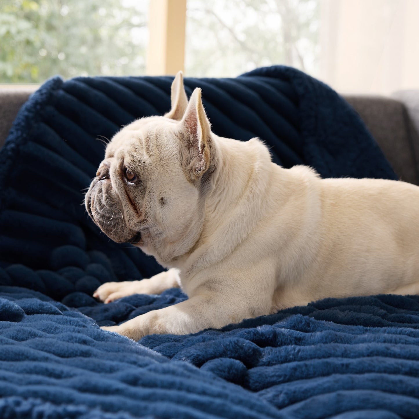 Corduroy Fleece Pet Blanket