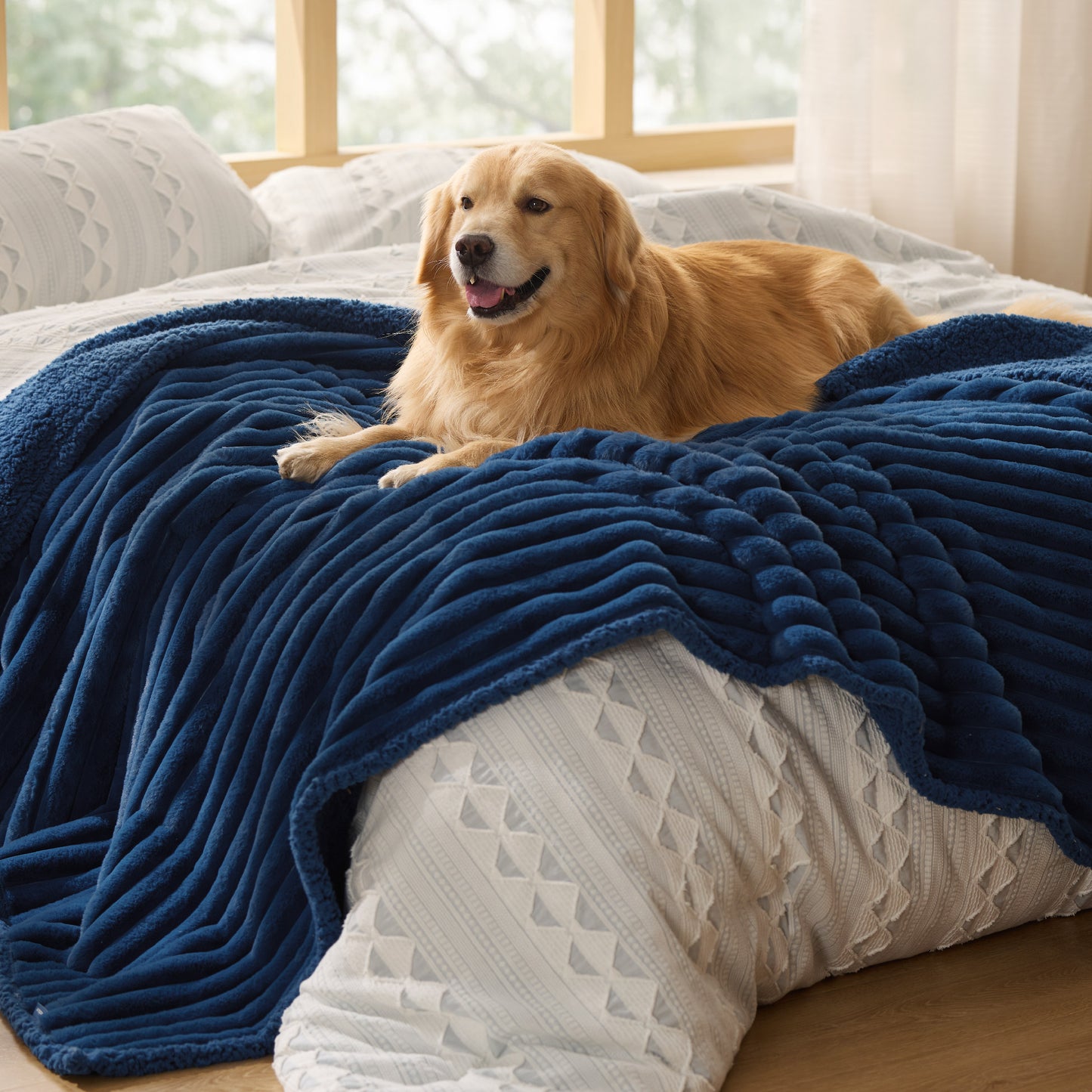 Corduroy Fleece Pet Blanket