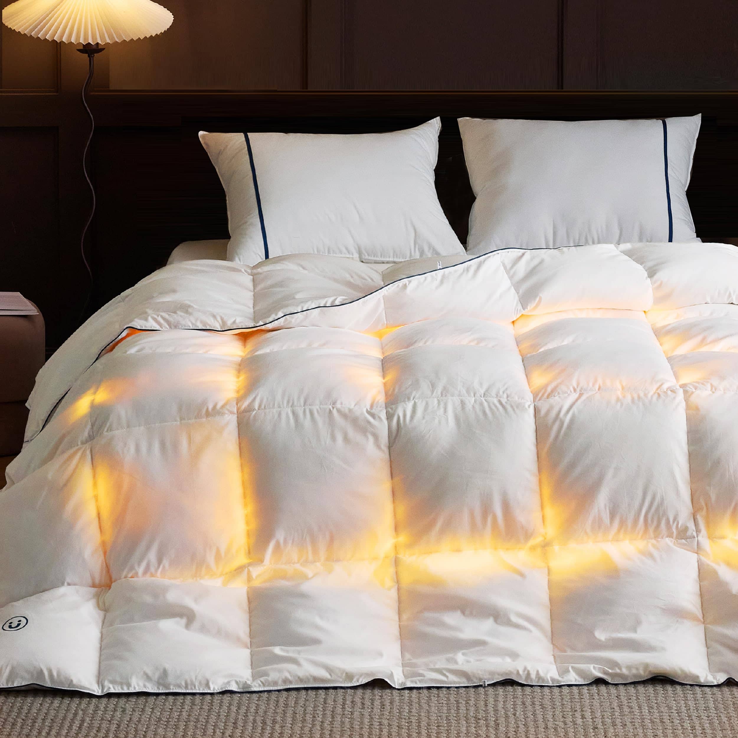 Bedsure Down Comforter Duvet Insert for Winter