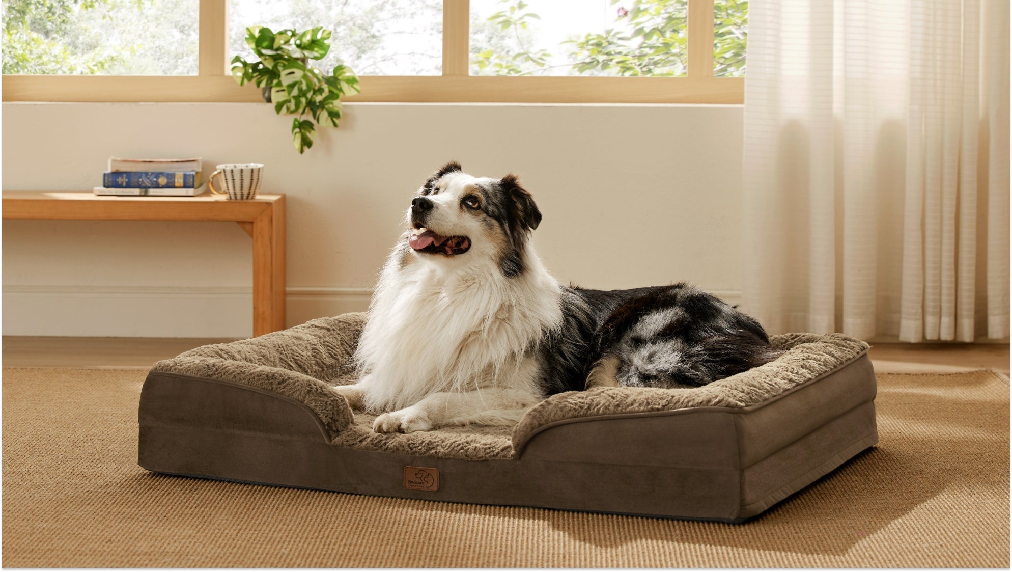 A fluffy Australian Shepherd dog resting comfortably on a large, brown, bolster-style orthopaedic dog bed in a sunlit living room.