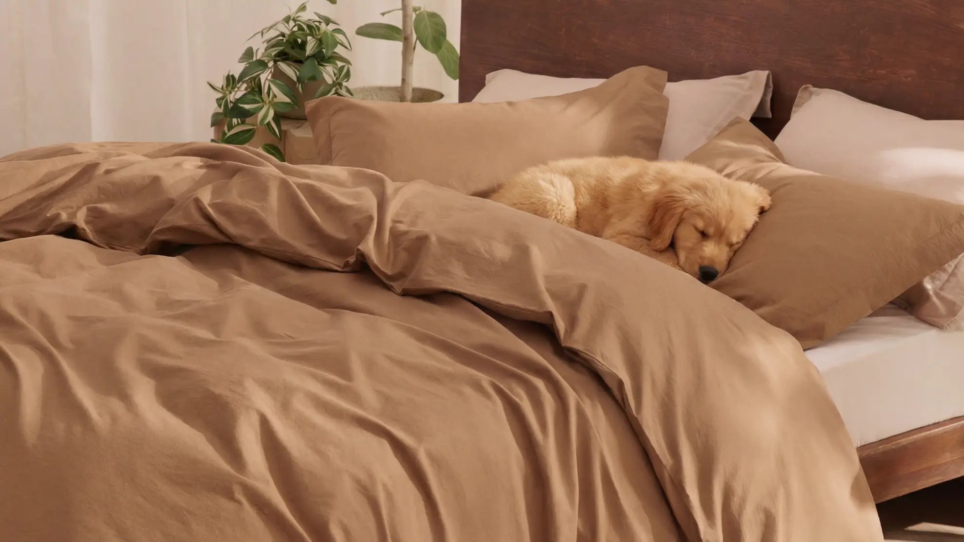Gemini 说 A golden retriever puppy resting peacefully on cozy, texture-rich brown washed linen bedding for a lived-in feel. 