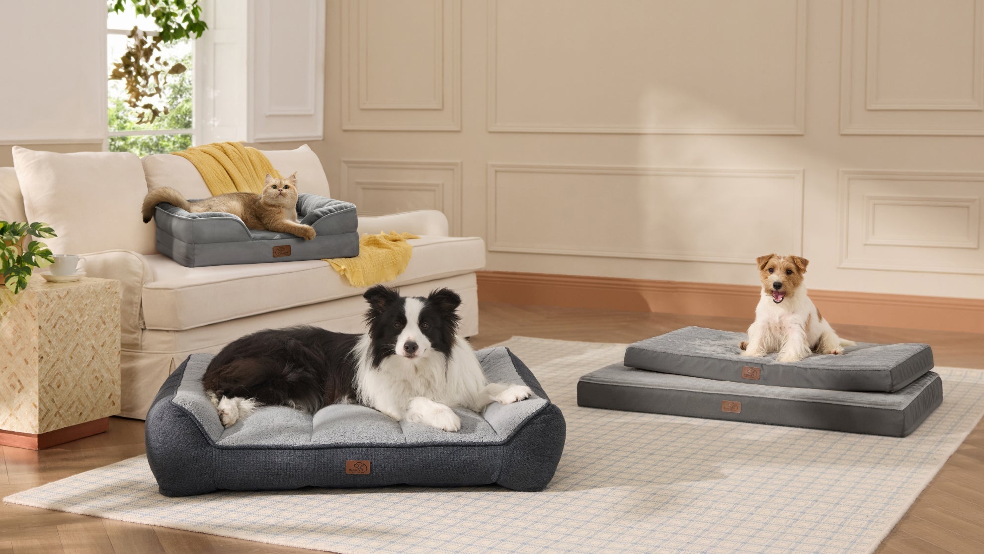 Multiple dogs resting on different orthopedic pet beds including memory foam and elevated mesh designs in living room