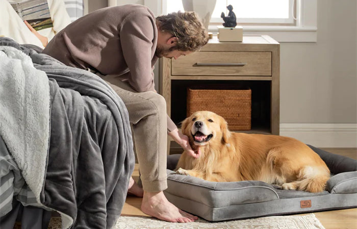 Best Orthopedic Dog Beds To Provide Support For Your Aging Pet