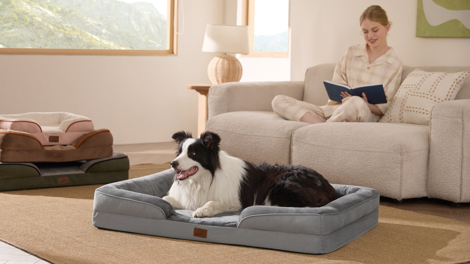 A woman relaxing on a comfortable beige sofa reads a book, while a black and white dog rests peacefully on the floor beside a pet bed in a sunlit room.