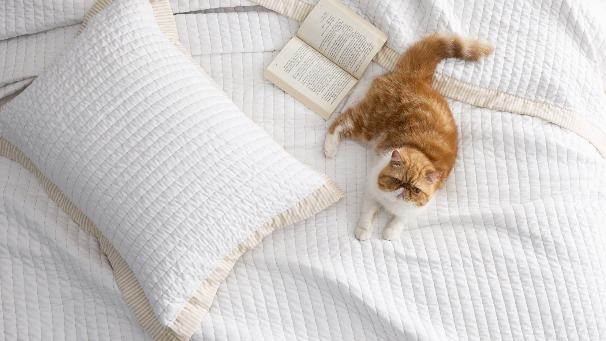 White quilted bedding with matching pillow, book, and orange cat on a bed
