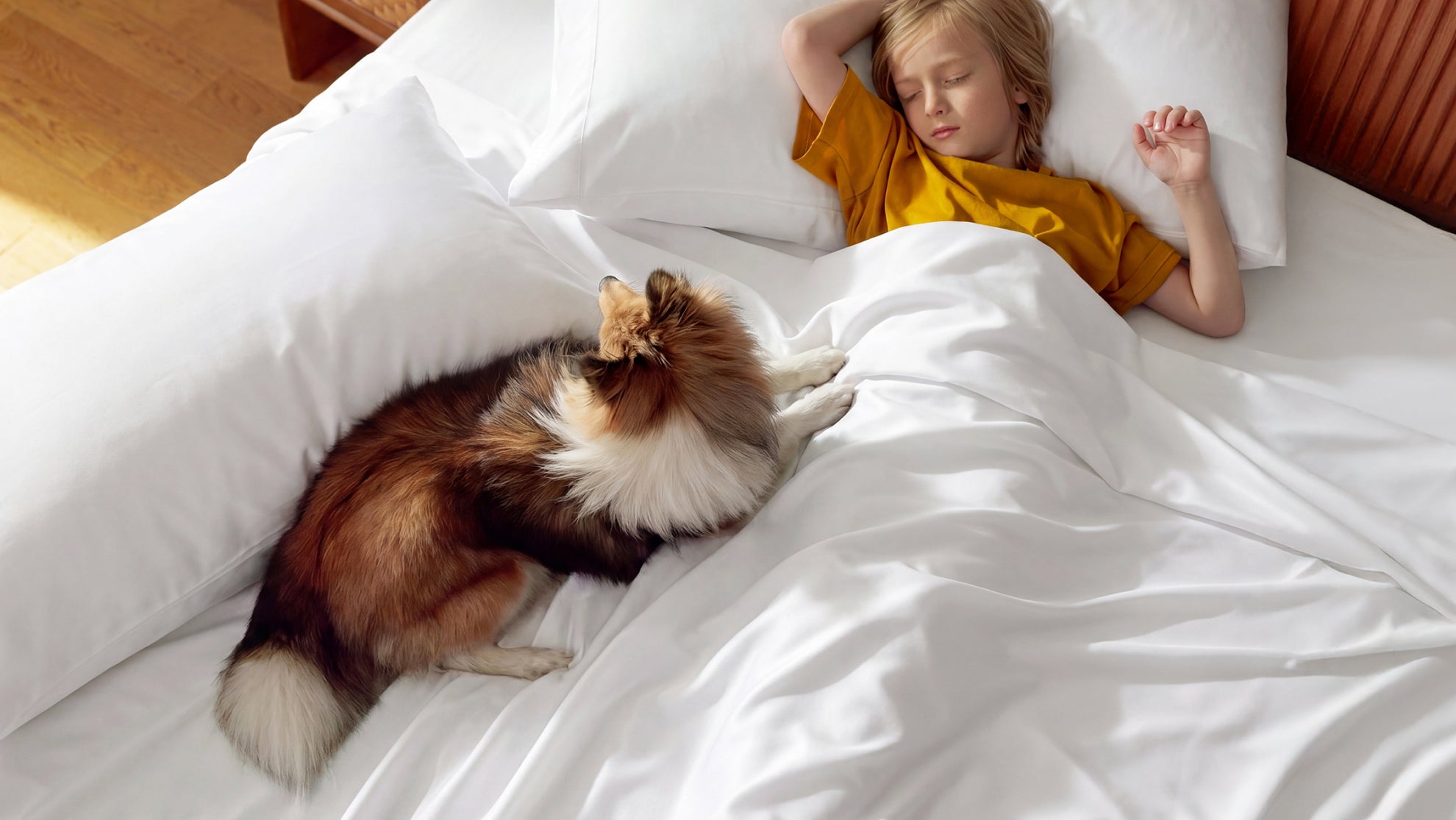 Rayon Derived from Bamboo Sheets: Material Labels and Bare-Skin Comfort