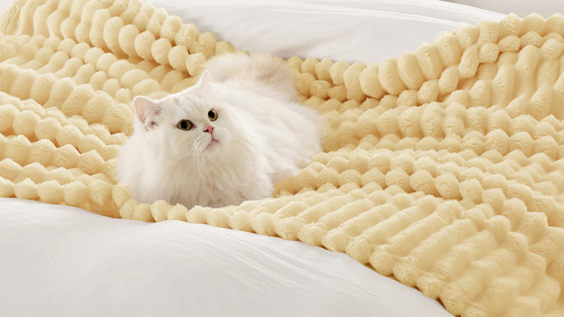 Anti-Pilling Fleece: What Actually Happens After Repeated Washing