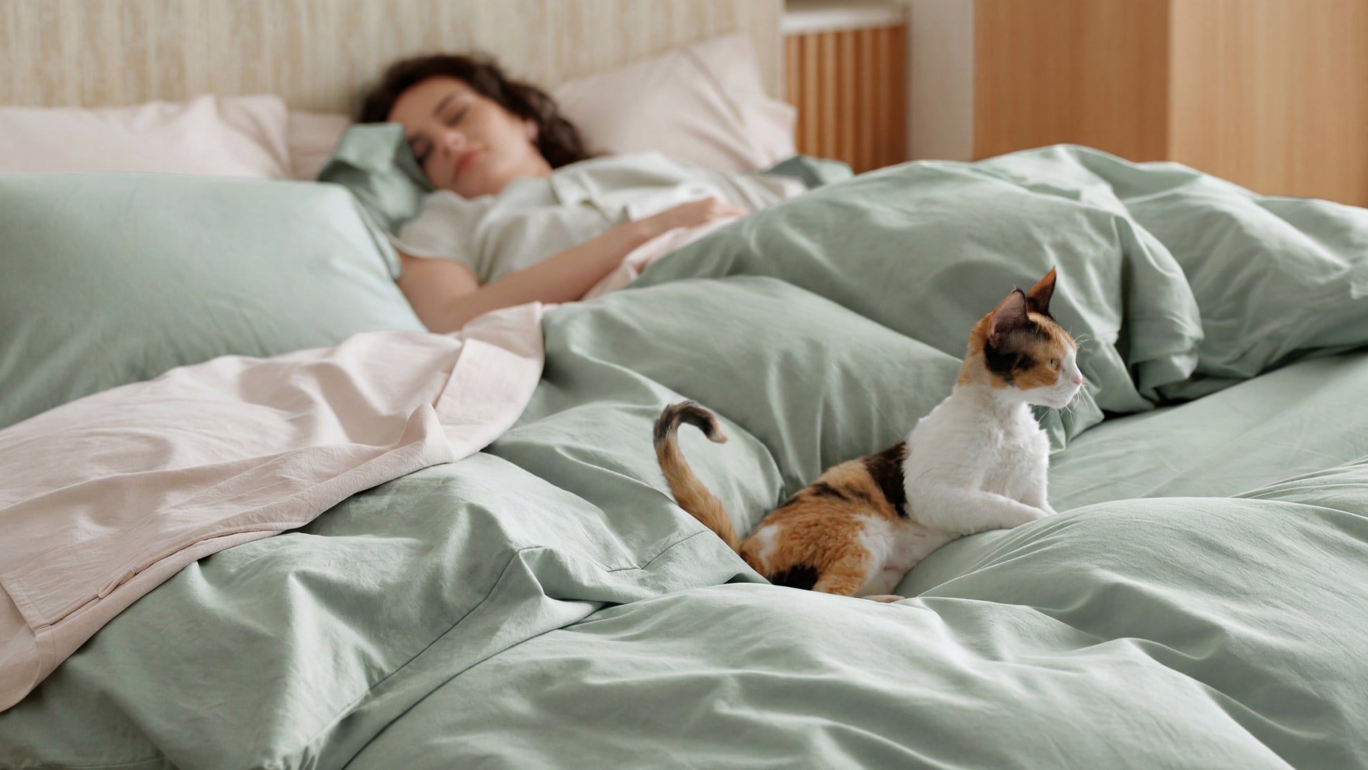 2026 Bedding Trends Revisited: What Actually Stuck From Spring to Late Summer