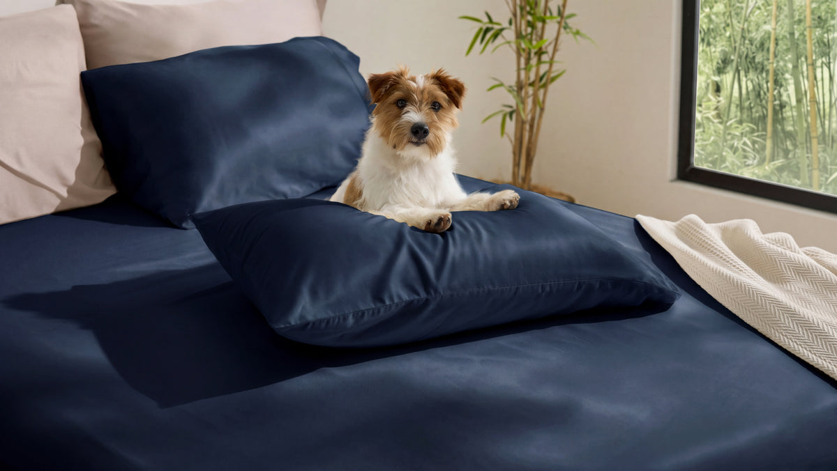 Everyday Bamboo Sheets: The Difference Between a Nice Set and One You'll Actually Keep Using