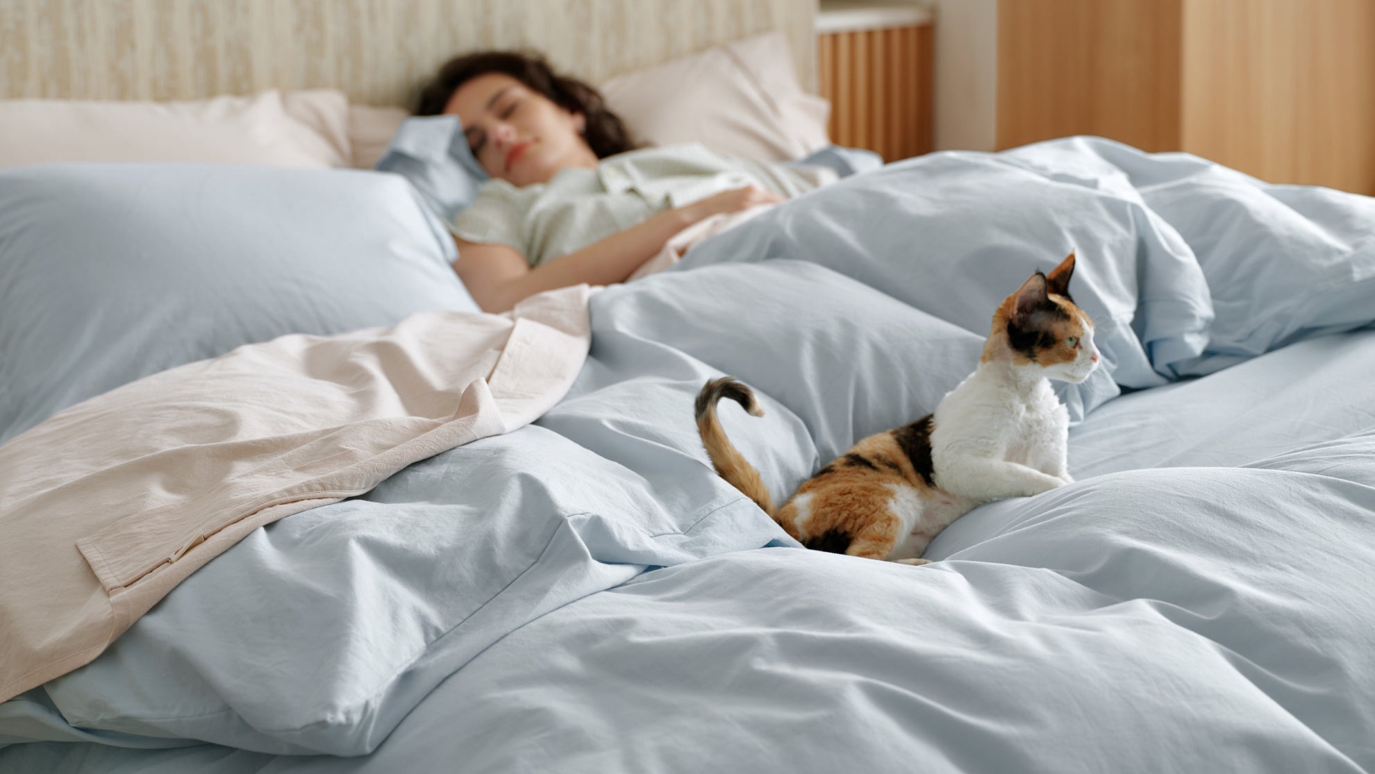 Cotton Duvet Covers in Summer: Percale, Washed Cotton, and the Breathability Question