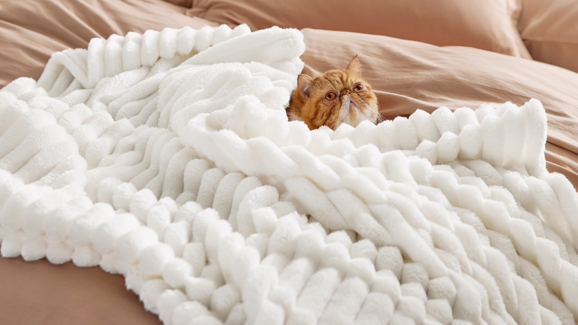 GentleSoft Fabric Technology: The Behind-the-Scenes Story of What Makes It Different
