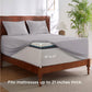 GentleSoft™ Moisture-Wicking Sheet Set