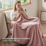 Arch Shaggy Sherpa Fleece Blanket