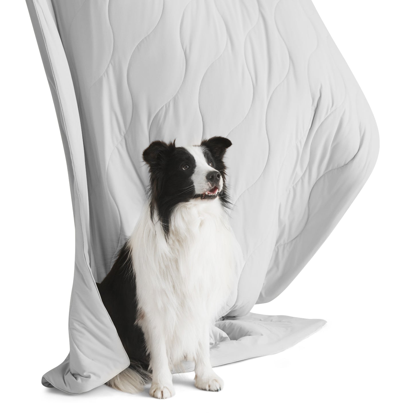 Textured Pet Cooling Blanket