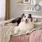 Waterproof Dog Blanket